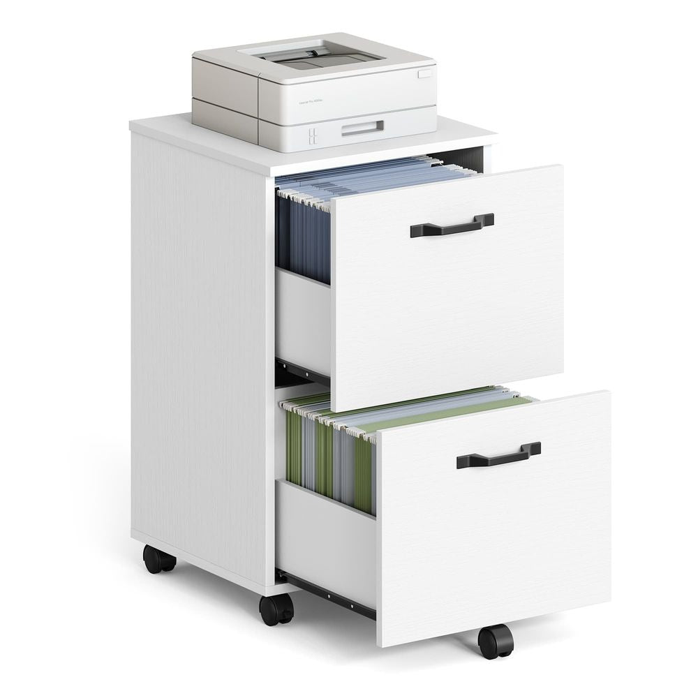 Filing Cabinet - Mobile Storage Design - 2-Drawers